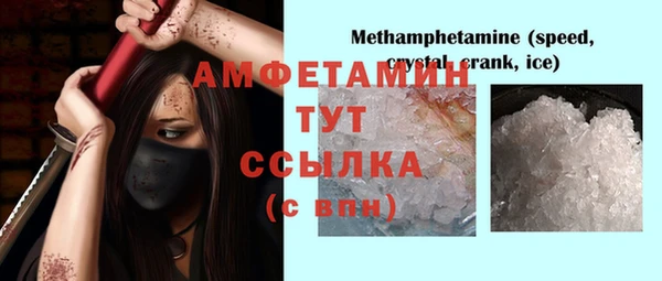 индика Балахна