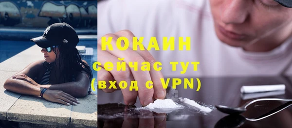 индика Балахна