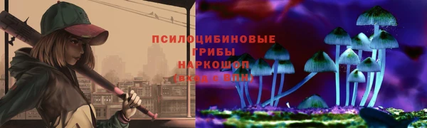 индика Балахна