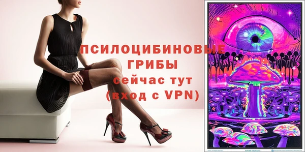 индика Балахна