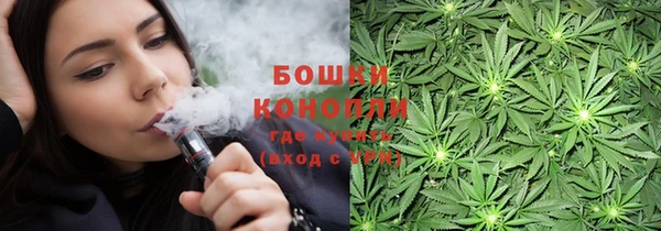 индика Балахна
