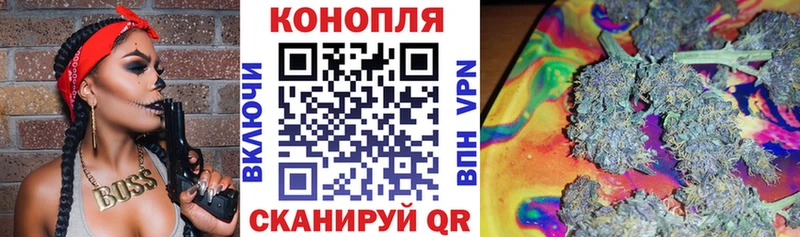 Канабис гибрид  Губкинский 